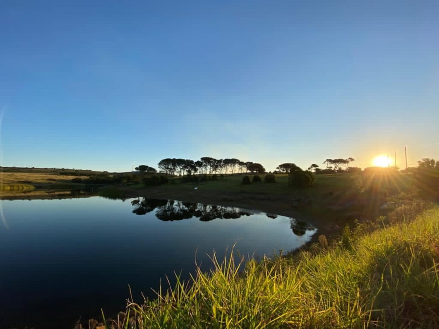 0 Bedroom Property for Sale in Kabeljauws Eastern Cape